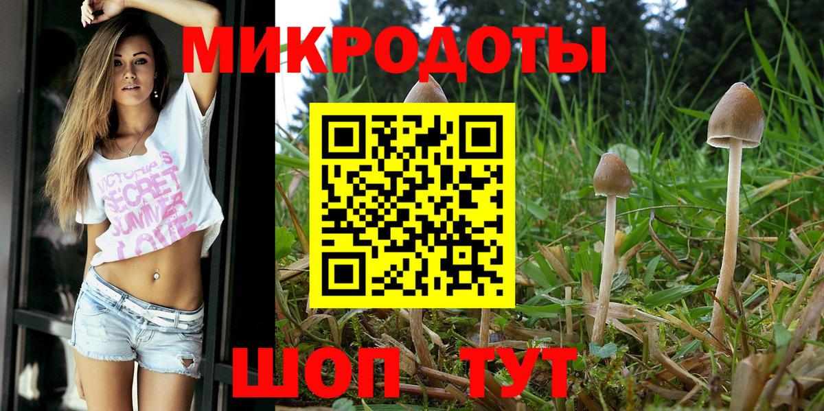 Чапаевск  Псилоцибиновые грибы прущие грибы  Вход с VPN 