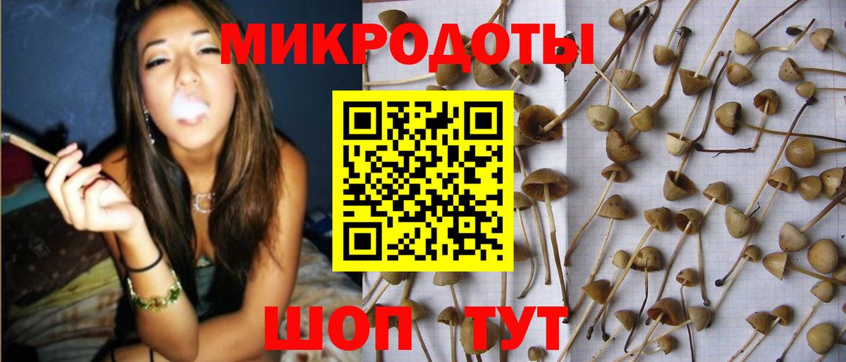 Псилоцибиновые грибы прущие грибы Чапаевск